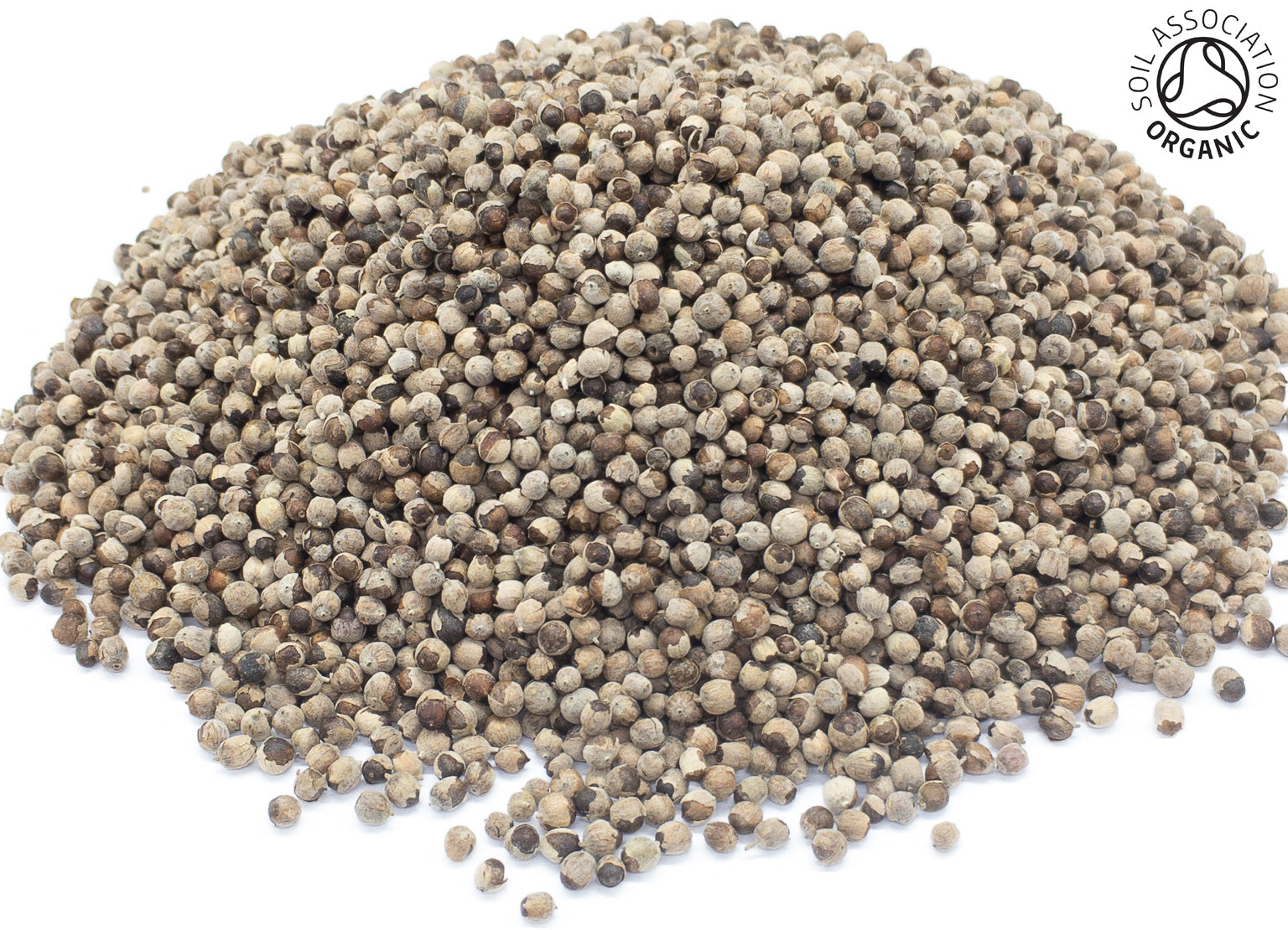 A small pile of dried, organic agnus castus/chaste tree berries on a white background with the Soil Association Organic Logo in the top right corner