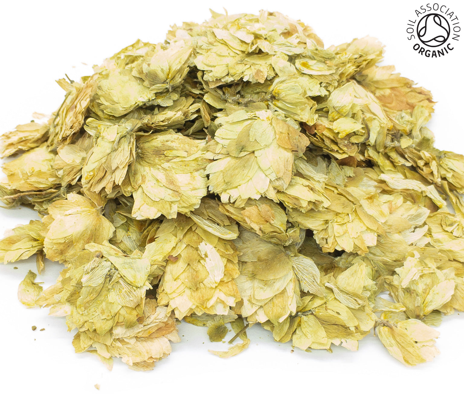 A small pile of dried, organic hops strobile, on a white background with the Soil Association Organic Logo in the top right corner