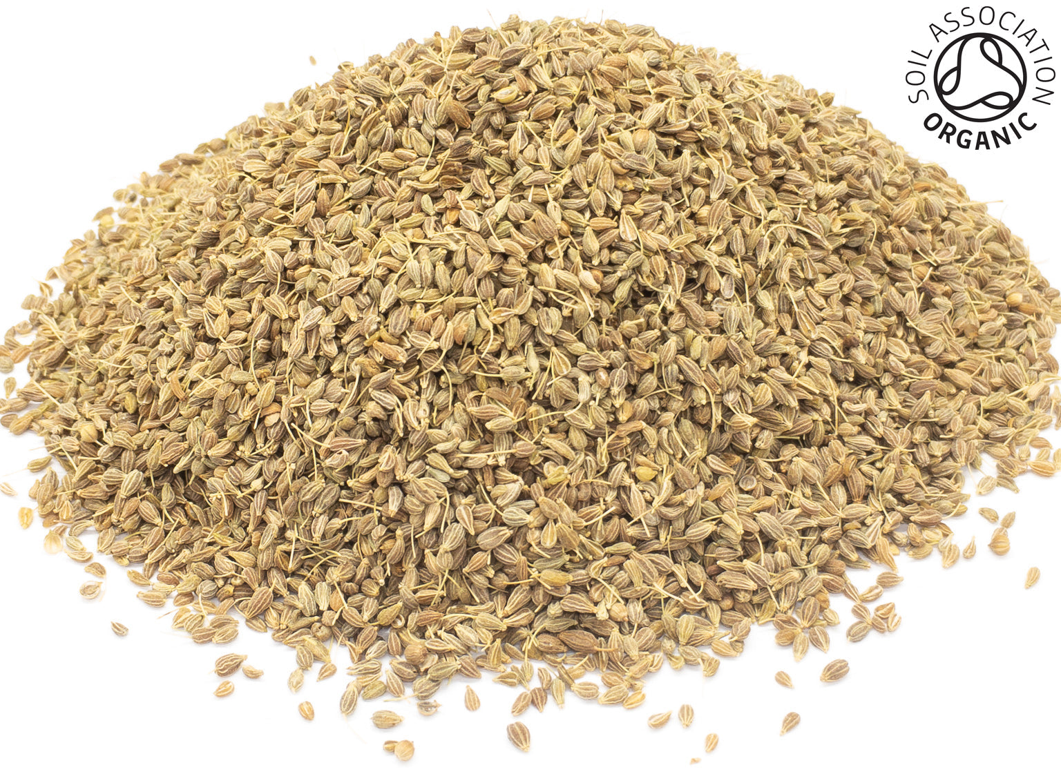 A small pile of dried, whole, organic anise seeds on a white background with the Soil Association Organic Logo in the top right corner