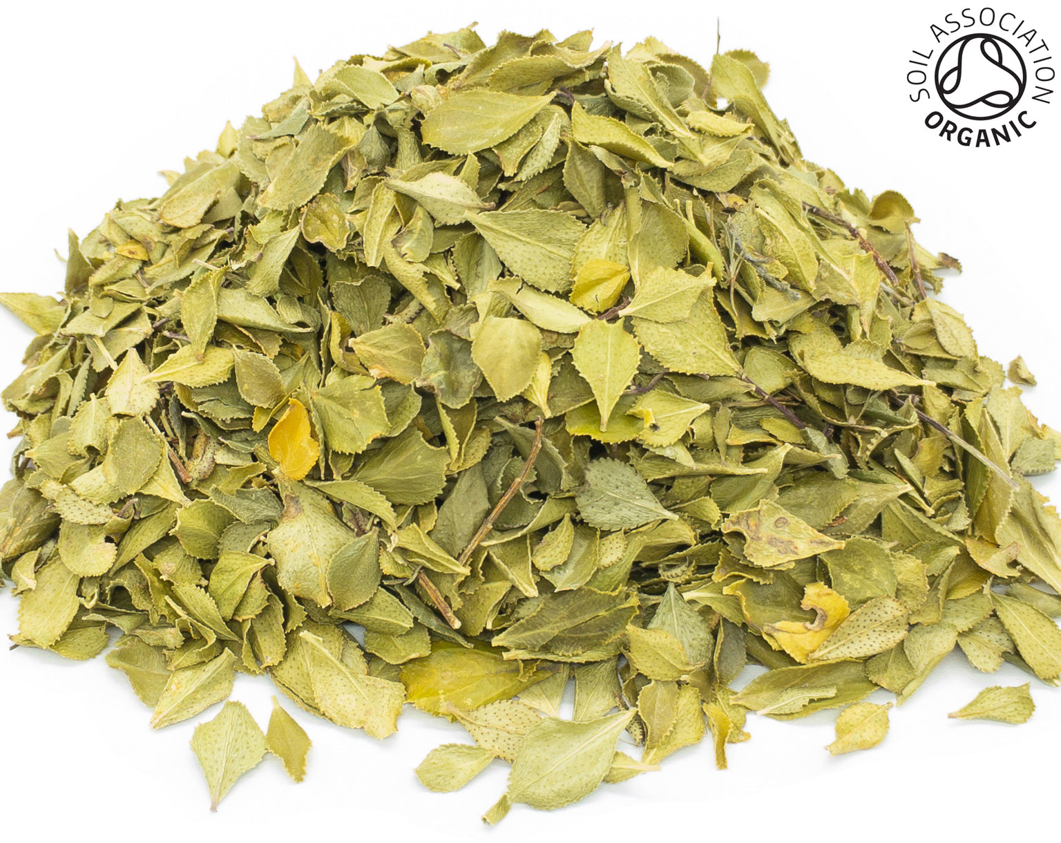 A small pile of dried, organic green buchu leaves on a white background with the Soil Association Organic Logo in the top right corner