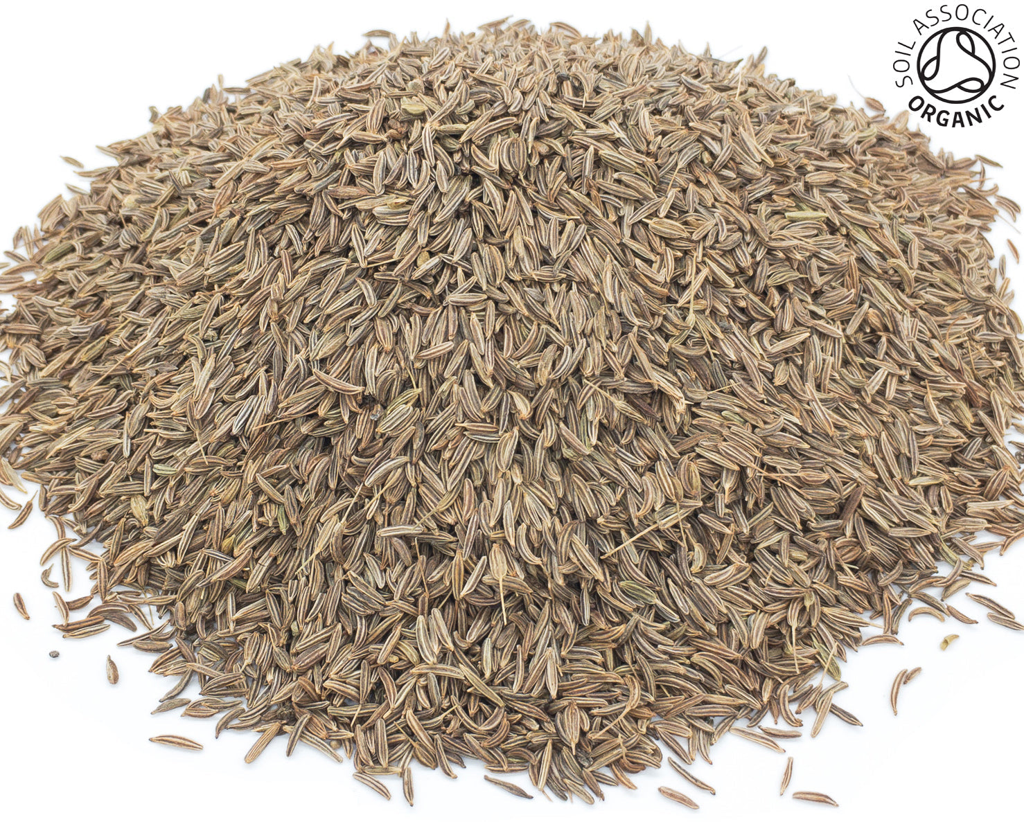 A small pile of dried, whole, organic caraway seeds on a white background with the Soil Association Organic Logo in the top right corner