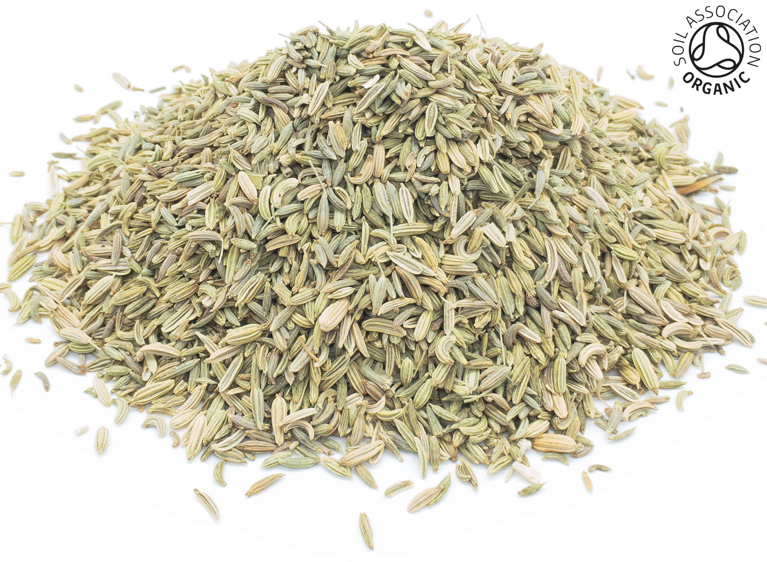 A small pile of whole dried fennel seeds on a white background with the Soil Association Organic Logo in the top right corner