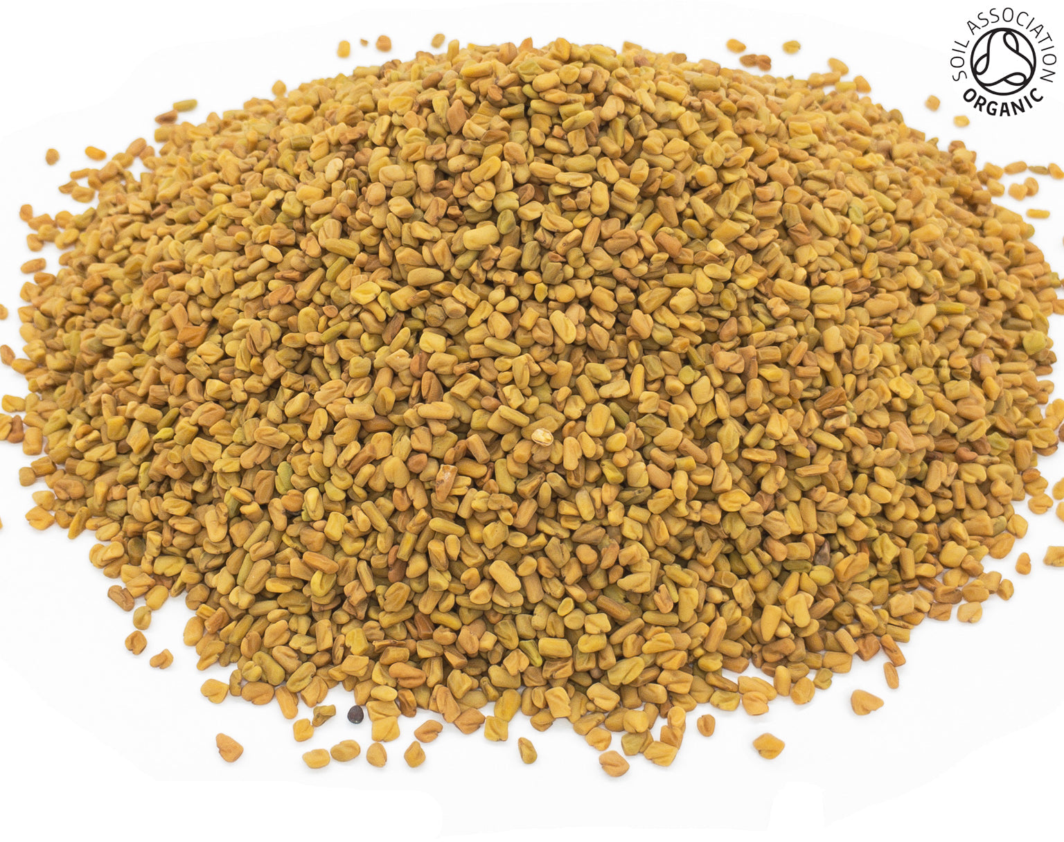 A small pile of dried, whole, organic fenugreek seeds on a white background with the Soil Association Organic Logo in the top right corner